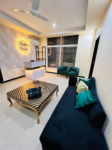 Aesthetic Evolution Clinical Consultation Environment